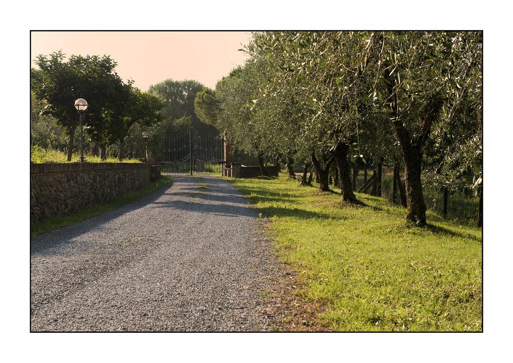 סיינה B&B Casale Virgili מראה חיצוני תמונה